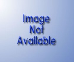 Unidentified Deceased White or Hispanic Male