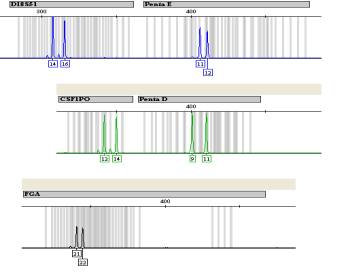 DNA Profile