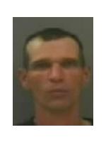David Michael Hamilton 