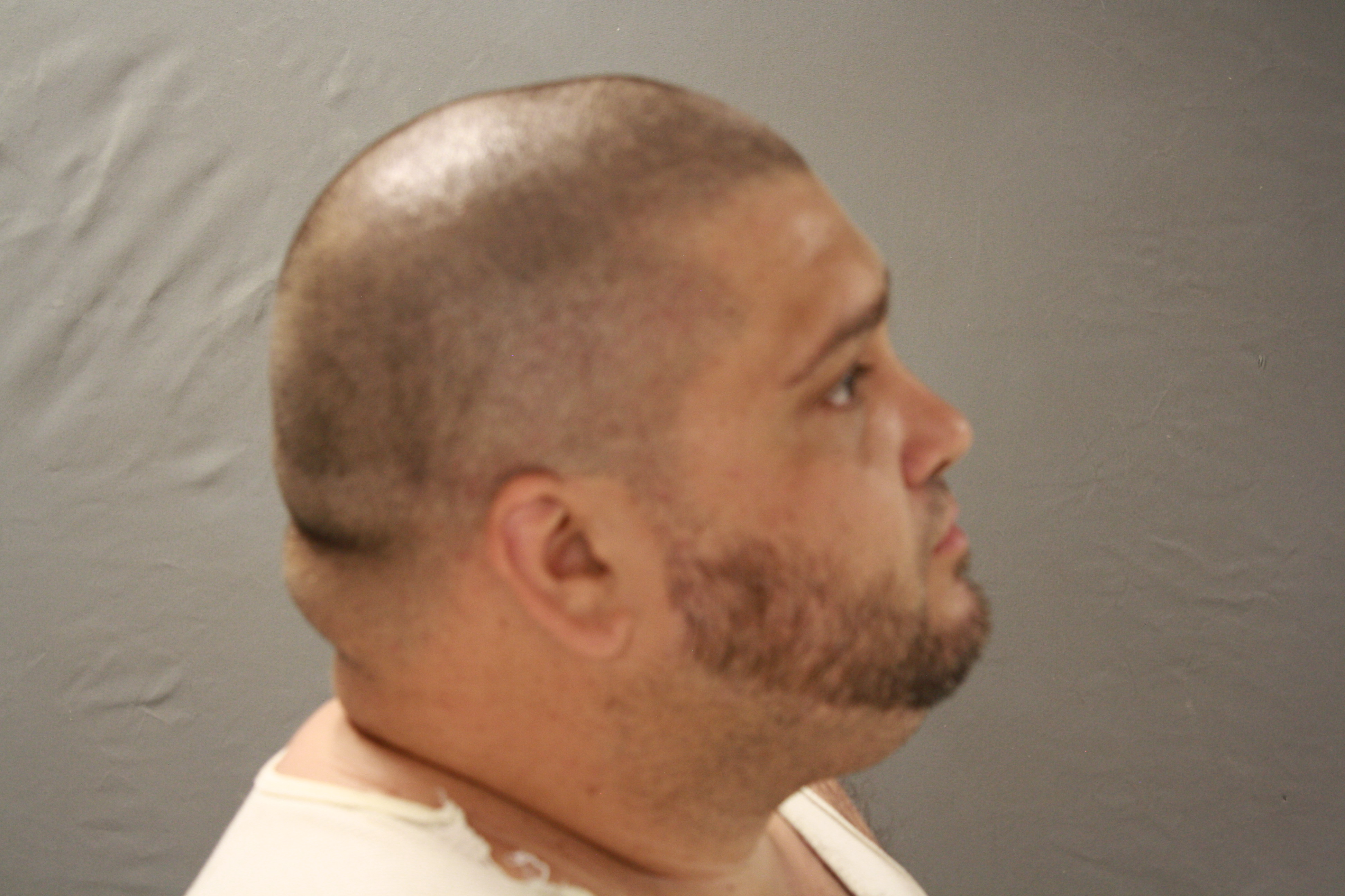 Busted Newspaper Randolph County Mo Mugshots - vy67n8f