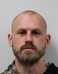 Brandon Michael Searle 