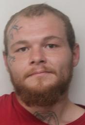 Francis Earl Bloom Jr.