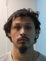 Michael Anthony Driemeier 