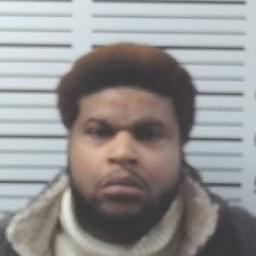 Levan Marty Johnson 