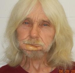Charles Frank Lewis Jr.