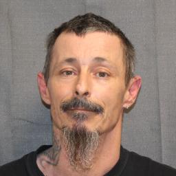 David Levi Whitehead 