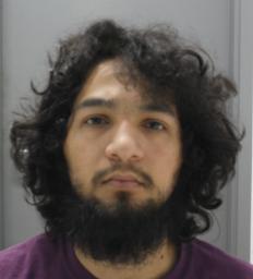 Gabriel Alexander Ramos 