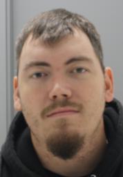 Brandon Michael Vich 