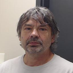 Albert Henry Nothnagel 